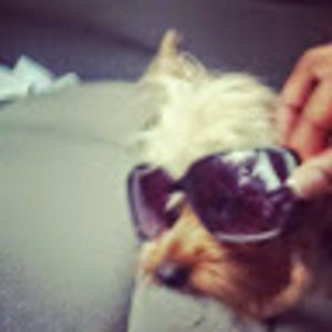 Meet your Posher, Cherie